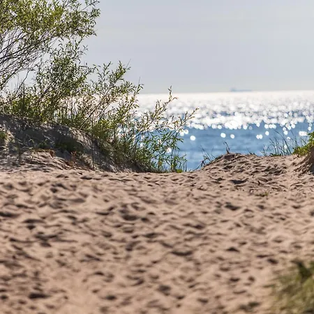 Апартаменти Zilviciu G. 5
