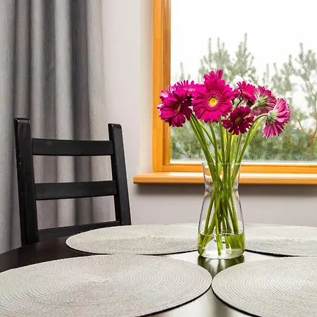 Апартаменты Zilviciu G. 5 Паланга