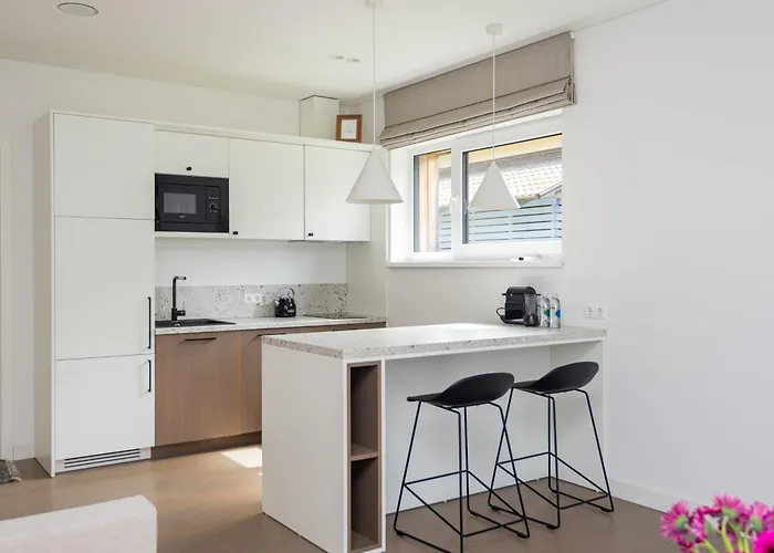 Апартаменты Zilviciu G. 5 *