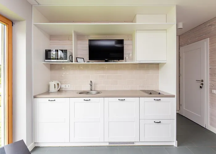 Апартаменты Zilviciu G. 5 Паланга