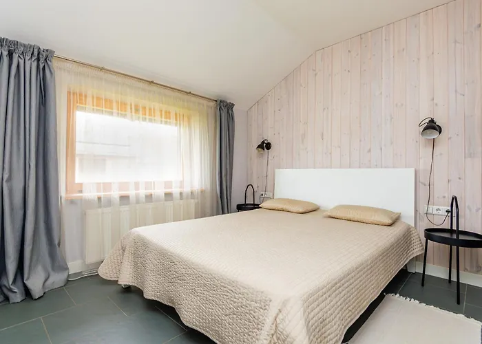 Zilviciu G. 5 アパート