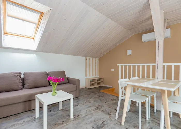 Zilviciu G. 5 アパート *