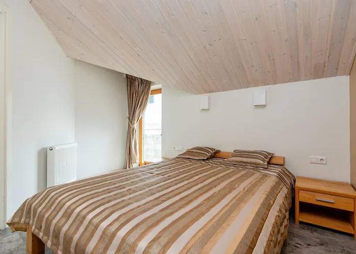 Zilviciu G. 5 アパート パランガ