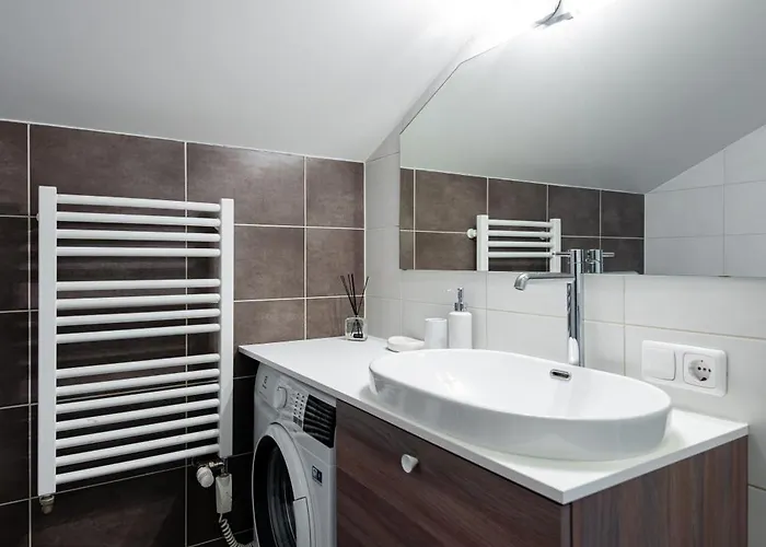 Zilviciu G. 5 アパート